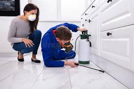 Best Real Estate Pest Inspections  in Huntington Bay, NY